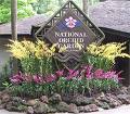 orchid_garden